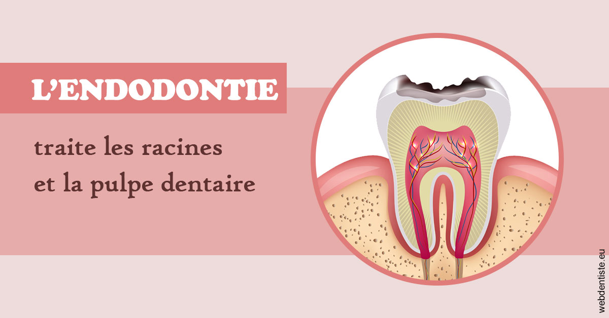 https://dr-halb-luc-joseph.chirurgiens-dentistes.fr/L'endodontie 2