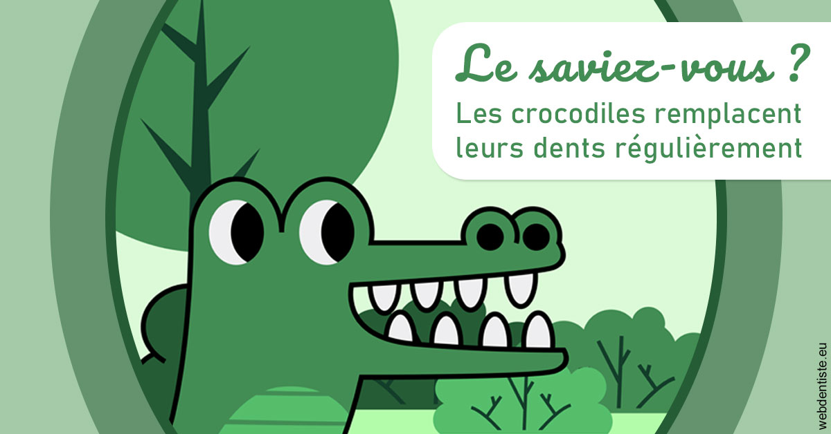 https://dr-halb-luc-joseph.chirurgiens-dentistes.fr/Crocodiles 2